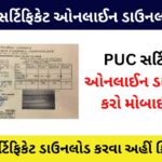 How To Download PUC Certificate Online: PUC સર્ટિફિકેટ ઓનલાઈન કેવી રીતે ડાઉનલોડ કરવું