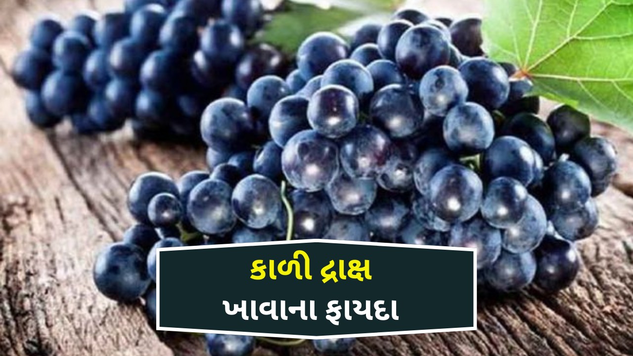 Black Grapes Benefits | કાળી દ્રાક્ષ ના ફાયદા | કાળી દ્રાક્ષ ખાવાના ફાયદા