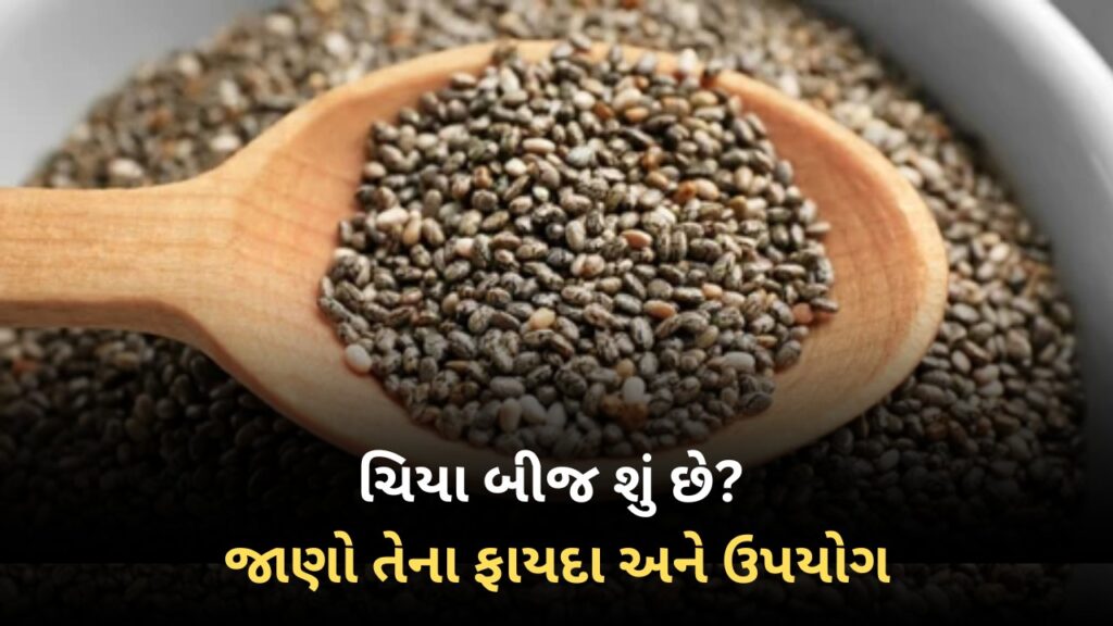Chia Seeds In Gujarati । ચિયા બીજ શું છે? | જાણો તેના ફાયદા અને ઉપયોગ
